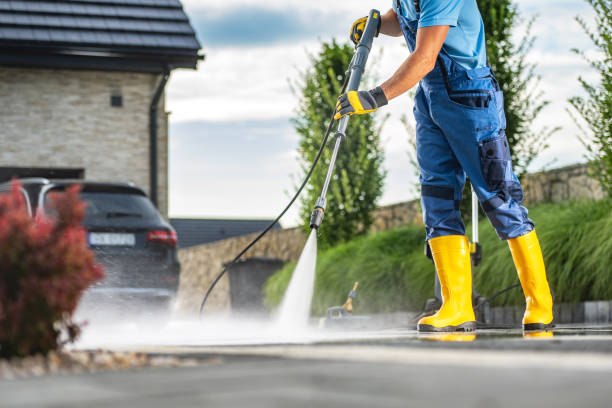 Animal Enclosure Cleaning in Junction City, KS